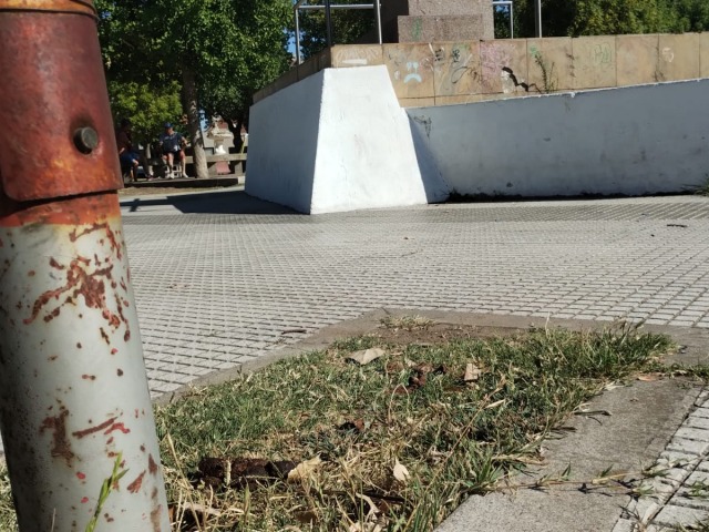 Plaza Alvaro Barros: no son los pobres perros, son sus due�os